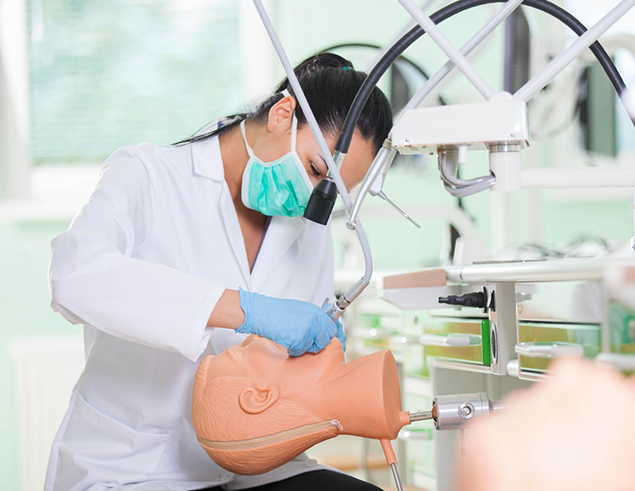 Student Practicing on a Dental Model